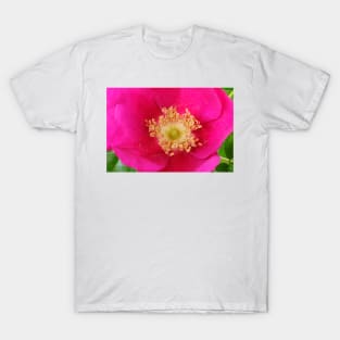 Rosa rugosa  Hedgerow rose T-Shirt